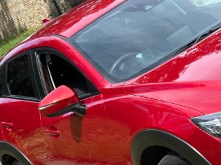 /photos/11835/10cf539a-8be9-4af3-8b7c-c012bf584197_i320x240.jpg